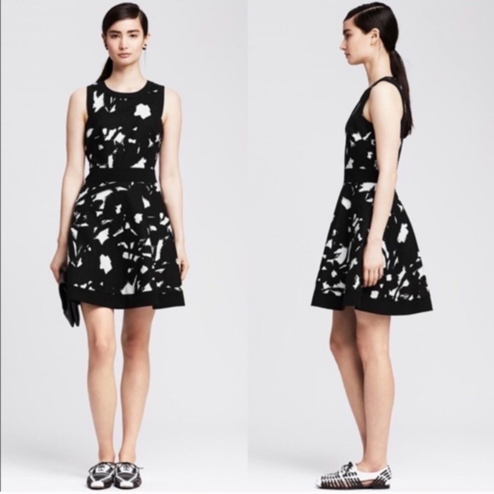 Banana Republic Fit & Flare Dress